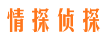 虎丘市侦探公司